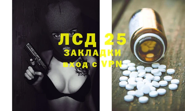 шишки Абаза