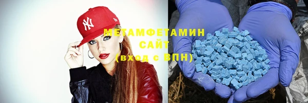 шишки Абаза