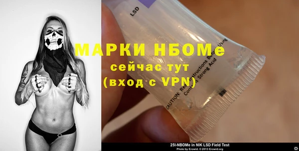 шишки Абаза