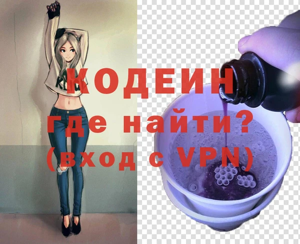 шишки Абаза