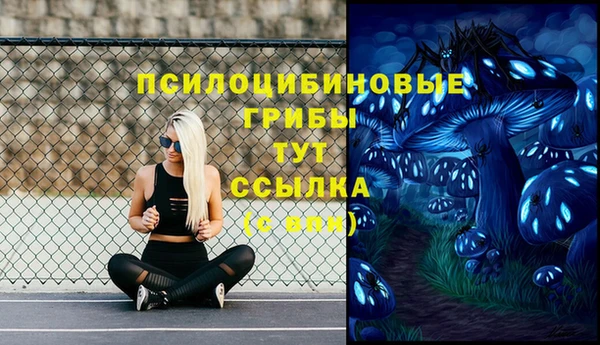 шишки Абаза