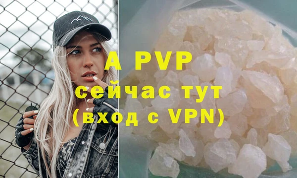 тгк Михайлов