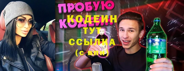 шишки Абаза