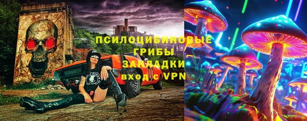 шишки Абаза