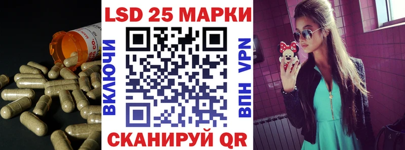 дарнет шоп  Хабаровск  Лсд 25 экстази кислота 