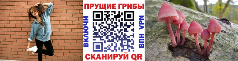 нарко площадка как зайти  OMG ССЫЛКА  Хабаровск  Галлюциногенные грибы GOLDEN TEACHER 